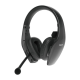 BlueParrott S650-XT
